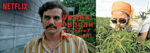молекула духа Волосово